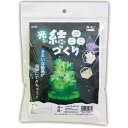 あかりをけすと…結晶が光る！●サイズ／180×240×30mm●セット内容／シャーレ×1、尿素（120g）×1、ろ紙×5、薬さじ×1、蛍光粉（約3g）×1、キラキラ粉（2g）×1●商品サイズ／シャーレ：φ80×25mm、ろ紙：φ70mm、薬さじ：125×16×12mm●材質／シャーレ：GPPS（汎用ポリスチレン）、薬さじ：ABS●梱包形態／ヘッダー付PP袋入●重量／168g●単位／1個●メーカー品番／55834※この商品は、商品デザイン、パッケージが予告なく変更される場合があります。※説明書や注意事項をよく読んでご使用ください。kaumall▼