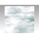 ベルベ 734 包装紙 クラウド グレー 全判 300枚入【取寄商品】