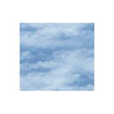 ベルベ 733 包装紙 クラウド ブルー 全判 300枚入【取寄商品】