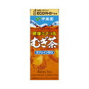 伊藤園 健康ミネラルむぎ茶（紙パック） 250ml 24本