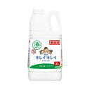 ライオンハイジーン キレイキレイ薬用ハンドソープ 業務用 2L