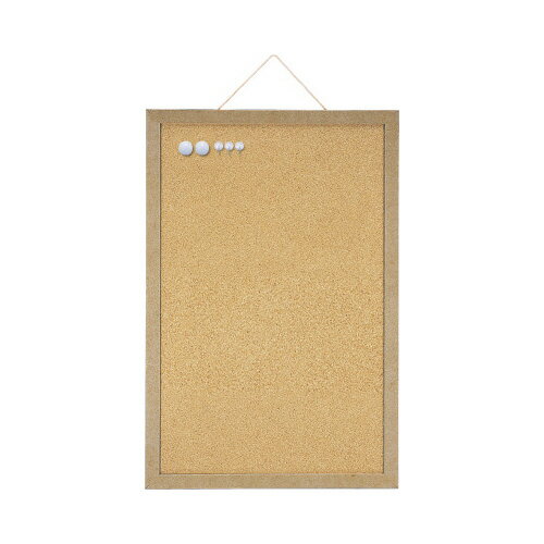 アスカ マグピンコルクボード M