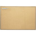 アスカ マグピンコルクボード LL