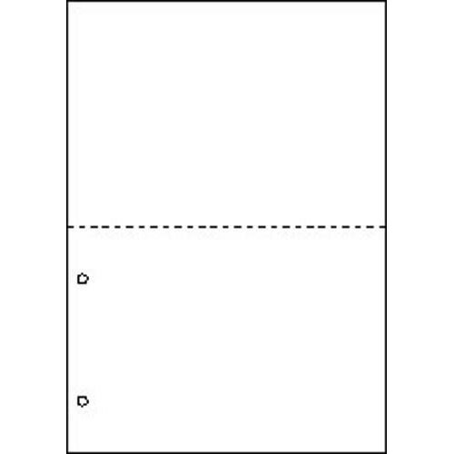 ヒサゴ マルチプリンタ帳票 A4 白紙2面2穴 100枚