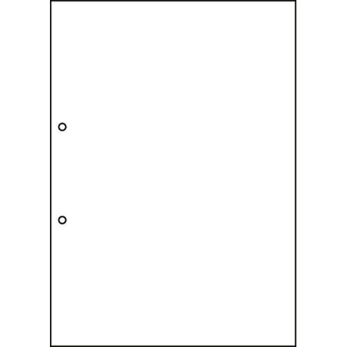 ヒサゴ マルチプリンタ帳票 A4 白紙 2穴100枚