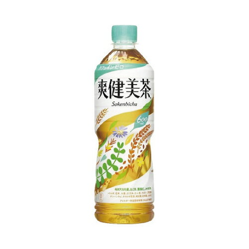 コカ・コーラ 爽健美茶　600ml　48本