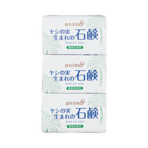 Soaps, Body Washes - ロケット石鹸 ヤシの実石鹸　80g×30個入