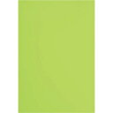 カウネット 色画用紙 八つ切 黄緑 1セット(10枚×10入)