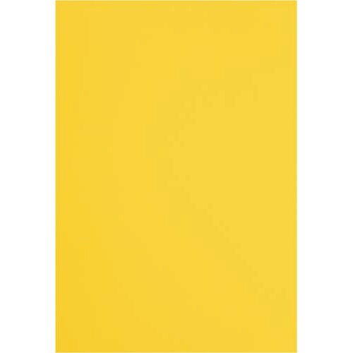 カウネット 色画用紙八つ切 みかん 1セット(10枚×10入)