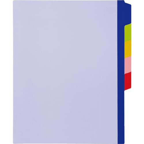 カウネット 「カウコレ」プレミアム 5分類インデックスシートA4タテ×10セット入