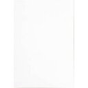カウネット 色画用紙 八つ切 雪 1セット(10枚×10入)