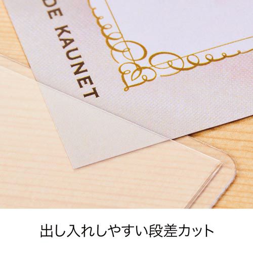 カウネット 「カウコレ」プレミアム 出し入れ簡単カードケース ハードタイプB4×10 [2]