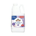 ライオンハイジーン キレイキレイ薬用泡ハンドS フローラルS業務用2L