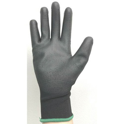 ���ȥ� ����ԥ������S��10��