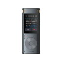 iFLYTEK VOITER SR302Pro