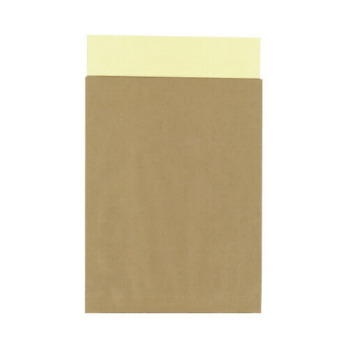 キングコーポレーション ポストイン定形外封筒 角2 未晒クラフト 10枚