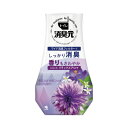 小林製薬 トイレの消臭元心なごむリラックスアロマ400ml