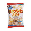 天恵製菓 ミニブッセトリオ130g×6