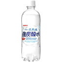 サンガリア 伊賀の天然水強炭酸水PET 500ml 24本