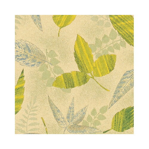  桡꡼եեȡȾȽ50ڼʡ