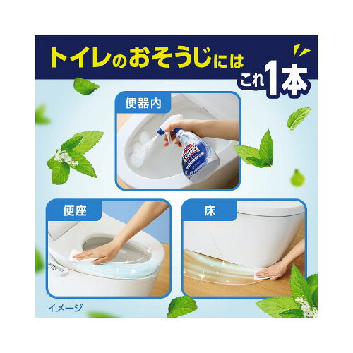 �ֲ� �ȥ���ޥ��ý����������ץ졼�ߥ����300ml��5