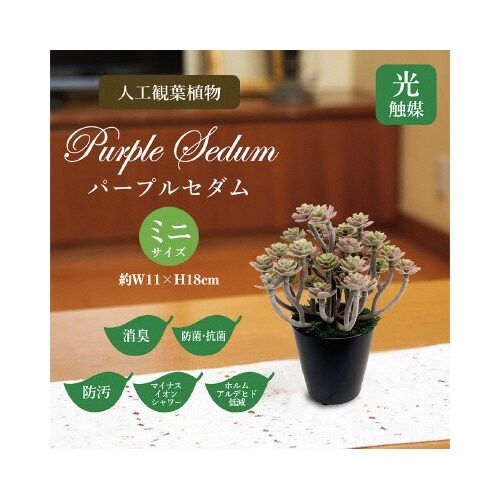 ササガワ 人工観葉植物パープルセダムミニサイズ【取寄商品】 2