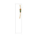 ササガワ 札紙 都のし 無字【取寄商品】