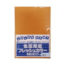 エヒメ紙工 再生色画用紙 八切 おうどいろ 10枚