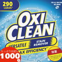 オキシクリーン OXICLEAN 1000g 漂白剤 シミ取りクリーナー オキシ漬け 掃除 洗濯 コストコ(OXICLEAN)