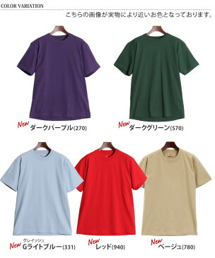 HanesヘインズTシャツ ビーフィー BEEFY-T 半袖Tシャツ スポーツウェア タグレス 半袖 メンズ レディース ユニセックス インナー 無地 シンプル トップス コットン BEEFY 肉厚 厚手 綿100% コットン 黒 白 ブランド 父の日