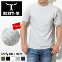 ＼本日店内SALE／ セール 送料無料 Hanes BEEFY ヘインズ ビーフィー リブ Tシャツ メンズ トップス 半袖 半袖tシャツ ブランド 無地 ストレッチ 伸縮性 厚手 クルーネック 父の日 プレゼント ギフト インナー ヘビーウェイト HM1-R103 メール便