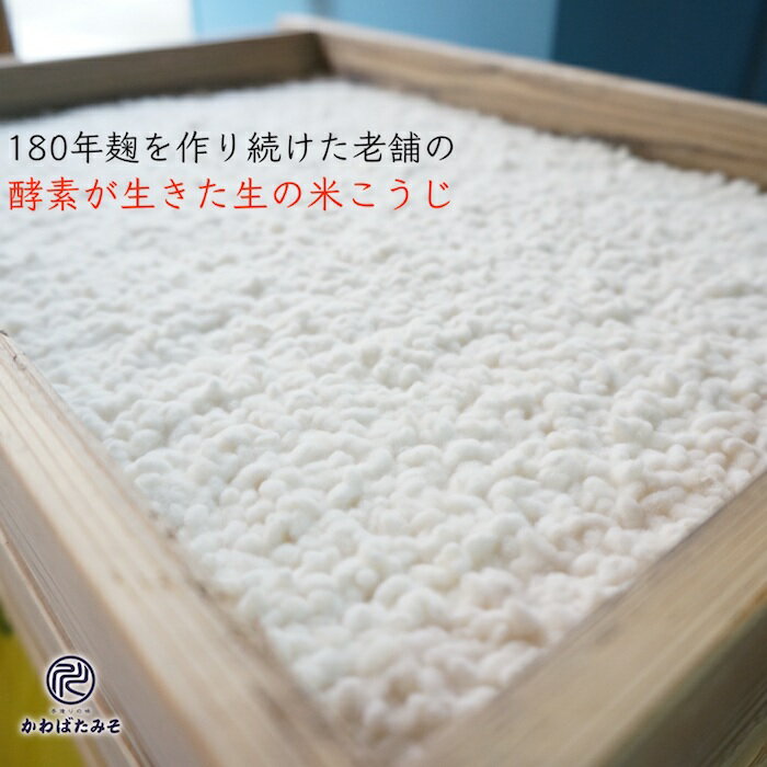 酵素が生きた100%国産米の生米麹 6枚切り 950g×3無添加 米麹 生 米こうじ 米糀 味噌作り 味噌手作り 甘酒 塩麹 兵庫県産米 ギフト プレゼント 贈り物 お中元 お歳暮