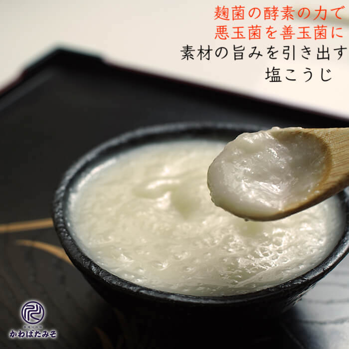 麹菌の酵素がたっぷりの塩麹 250g 5個 パウチ ギフト プレゼント 贈り物 お中元 お歳暮