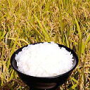 三重県のあきたこまちを是非ご賞味ください。粒は小さめですが甘味と鮮明度の高い綺麗なお米です【送料無料】 平成23年産 あきたこまち 10kg *※北海道:1,300円〜 沖縄県:3,000円〜 その他離島:3,500円〜別途送料かかります