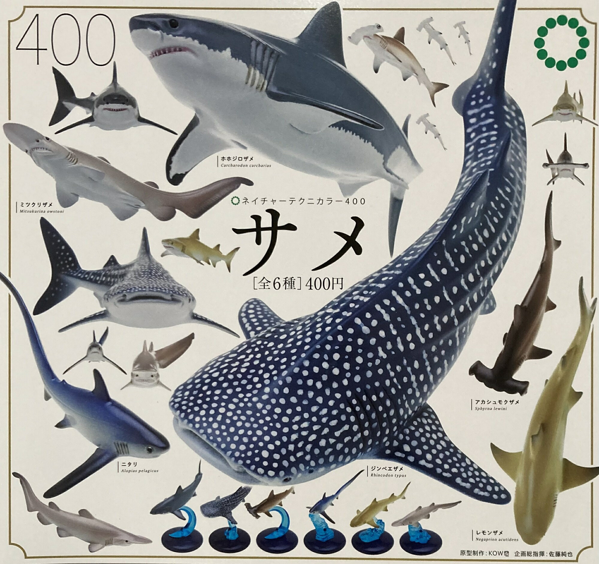 いきもん ネイチャーテクニカラー400 サメ NATURE TECHNICOLOR 海の生き物 鮫 全6種セット（フルコンプ）
