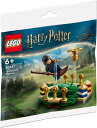 レゴ ハリーポッター クィディッチの魔法 ミニセット LEGO Harry Potter Quidditch practice 30651