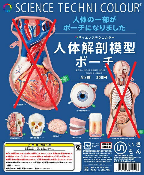 いきもん サイエンステクニカラー 人体解剖模型ポーチ ガチャガチャ 6種セット