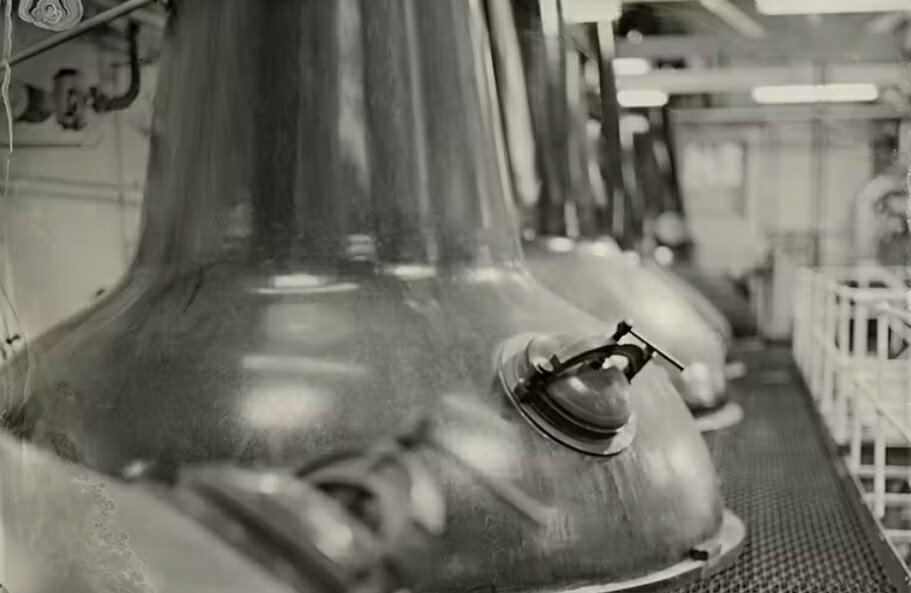 ����ǥ塼 12ǯ 700ml 43�� Ȣ�� TAMDHU 12years ���ڥ������ɥ��� ���󥰥���ȥ��������� VINTAGE SpeysideMalt Single Malt Scotch Whisky �����ꥹ �ѹ� �����åȥ��� kawahc �����ҤȤ���1�����1�ܸ¤�