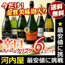 【河内屋の本気福袋】 最強のソムリエ軍団が品質と価格にこだわり厳選！ 最強の【泡】福袋シリーズパワーアップ第43弾！ 世界中の味が楽しめる【辛口】スパーク6本セット 送料無料！【fkbr-g】 kawahc