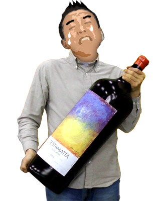 【代金引換決済限定】 テスタマッタ ［2005］ 18L 木箱付 ワイン イタリア トスカーナ 赤ワイン kawahc
