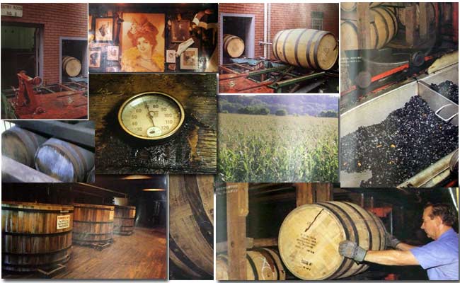 JW����� �ܥ�ǥå� 1000ml 50�� J.W.DANT Bottled In Bond Kentucky Straight Bourbon whiskey Genuine Sour Mash �С��ܥ󥦥������� ����ޥå��� ����ꥫ�ƹ񥱥󥿥å������С��������� kawahc �����ҤȤ���1�����1�ܸ¤�