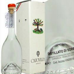 カポヴィラ グラッパ ソルボ デル ウッテェッラトーレ 2001 ナナカマド種 500ml 41度 Capovilla Grappa SORBO DELL` UCCELLATOREイタリア共和国 Italian Republic kawahc ※現在、箱なしとなります。