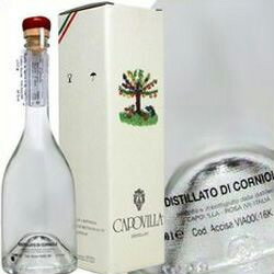 カポヴィラ グラッパ コルニオーレ 1997 ミズキの実 500ml 41度 Capovilla Grappa CORNIOLE イタリア共和国 Italian Republic kawahc ※現在、箱なしとなります。