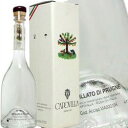 カポヴィラ グラッパ ブルニョーロ ジェンティーレ 2001 ヨーロッパ産のスモモの原種 500ml 41度 Capovilla Grappa PRUGNOLO GENTILE イタリア共和国 Italian Republic kawahc ※現在、箱なしとなります。