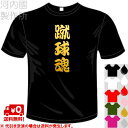 河内國製作所 「蹴球魂Tシャツ」全5色。サッカー漢字おもしろTシャツ 文字T-shirt おもしろてぃーしゃつ 半袖ドライTシャツ メール便は送料無料