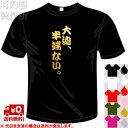 河内國製作所 「大迫 半端ない。Tシャツ」全5色。センテンス系サッカーおもしろTシャツ 文字T-shirt おもしろてぃーしゃつ 半袖ドライTシャツ メール便は送料無料