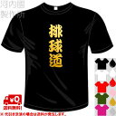 河内國製作所 「排球道Tシャツ」 全5色。バレーボール漢字おもしろTシャツ。 文字T-shirt おもしろてぃーしゃつ 半袖ドライTシャツ メール便は送料無料