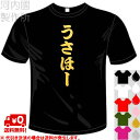 河内國製作所 「うさほーTシャツ」全5色。読売ジャイアンツ応援おもしろTシャツ 文字T-shirt おもしろてぃーしゃつ 半袖ドライTシャツ メール便は送料無料