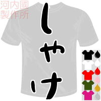 Ԣ֤ˤζTġ5㤱֡ĥʥޥ衢ڡ顢ҡϷޥ褪⤷TʸT-shirt⤷ƤȾµɥ饤Tĥ᡼ؤ̵