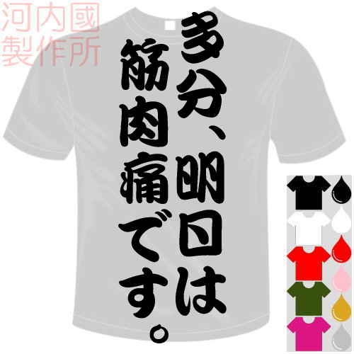 河内國製作所 「多分、明日は筋肉痛です。Tシャツ」全5色。センテンス系おもしろTシャツ 文字T-shirt おもしろてぃーしゃつ 半袖ドライTシャツ メール便は送料無料